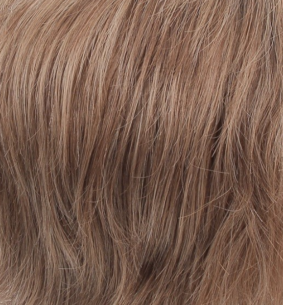 Walter - Perruque Homme | Maolis